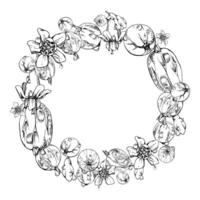 Gooseberry Currant berries and flowers in water dew drops splash, wreath hand drawn in ink. Ripe garden juneberry casseille. Isolated circle frame. Home preserves, food store, menu recipe book vector