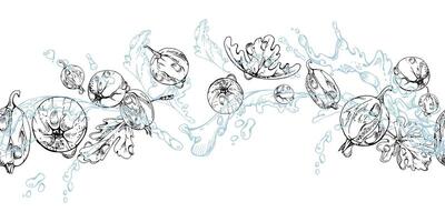 Gooseberry Currant flying in water splash with green leaves and dew drops, ripe summer garden berry hand drawn in ink. Isolated seamless banner for home preserves, stationery, menu, recipe book vector