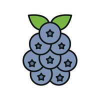 Blueberry fruit icon represents brain function and antioxidant power ideal for wellness initiatives and health products vector