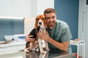 Playful mood, having, fun. Dog ,in veterinarian clinic with male doctor photo