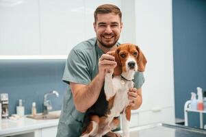 Playful mood, having, fun. Dog in veterinarian clinic with male doctor photo