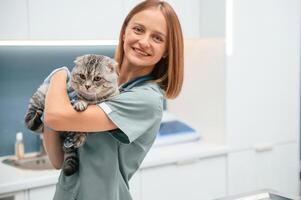 After the, check up, holding and smiling. Scottish fold cat in the veterinarian clinic with female doctor photo