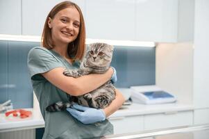 Holding, in hands, smiling. Scottish fold cat in the veterinarian clinic with female doctor photo
