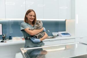 After, the check up, holding and smiling. Scottish fold cat in the veterinarian clinic with female doctor photo