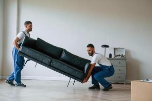 Sofa ,in, hands. Two, moving service employees in a room photo