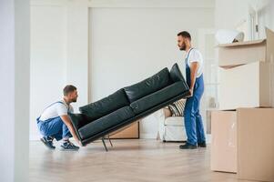 Holding, heavy ,sofa. Two moving service employees in a room photo