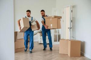 Boxes, in, hands. Two moving service employees in a room photo