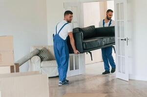 Sofa, in hands. Two,, moving service employees in a room photo
