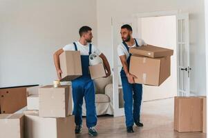 Front, view, holding stuff. Two moving service employees in a room photo