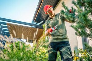Gardener Trimming a Tree in a Well-Maintained Backyard photo