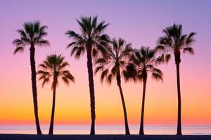 Palm trees silhouettes at sunset creating a colorful and relaxing seascape photo
