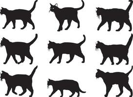 Silhouette of a cat walking vector