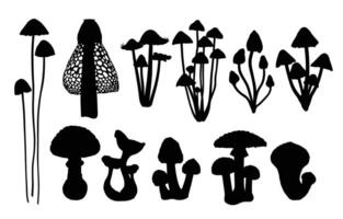The silhouettes of forest mushrooms. vector