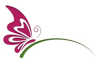 The Symbol of butterfly. vector