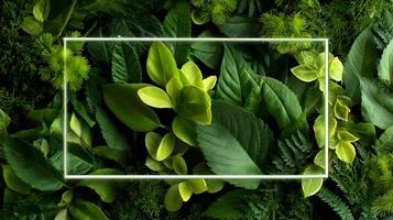 A plethora of vibrant green foliage highlighted by a striking neon green rectangular frame, ideal for summer campaigns. photo