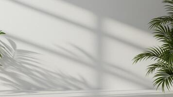 Blurred tree leaf silhouette on white background, usable for spa, skincare, or wellness branding. photo