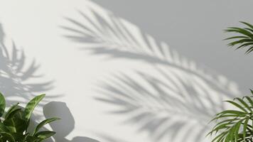 Leaf shadow overlay on white wall, ideal for minimalist summer-themed design or background use. photo