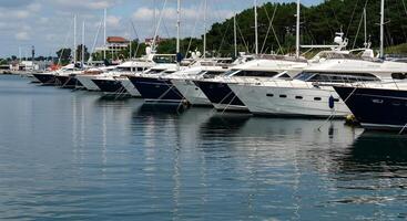 Yachts docked in a serene marina on a sunny day by the waterfront photo