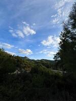 Scenic view of lush green mountains under a bright blue sky with fluffy clouds in the distance photo