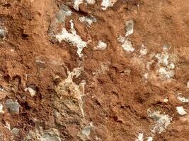 Texture of weathered red stone showing minerals and earthy tones photo