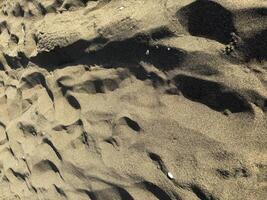 Detailed sand texture with shadows highlighting patterns on a beach shore during daytime photo