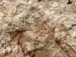 Textured rock surface with earthy tones in a natural outdoor setting during daylight hours photo