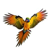 Vibrant Parrot Spreading Colorful Wings in Bright Feathered Display photo