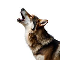 Majestic wolf howling against a serene forest backdrop at twilight photo