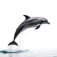 Dolphin Jumping Above Water Surface in Clear Ocean Environment photo