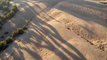 Aerial View of Desert Landscape with Long Shadows from Trees photo