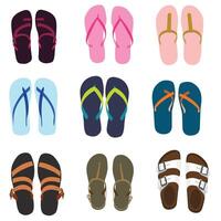 A colorful variation of flip flops summer shoes vector