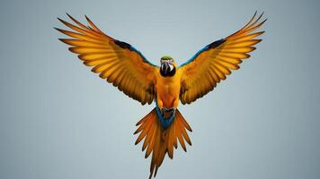 Colorful Macaw in Flight with Vibrant Feathers Against Blue Sky photo