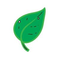 a green leaf with a white background vector
