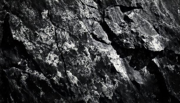 Grayscale Close-up view of Textured Rocky Surface with Contrasting Patterns photo