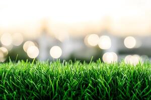 Macro of Green Grass Blades with Dew and City Bokeh in Morning Light photo