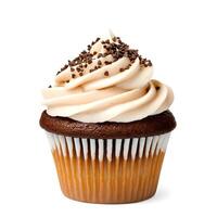 Chocolate Cupcake with Vanilla Swirl Frosting and Sprinkles photo