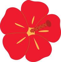 Tropical red hibiscus flower. vector