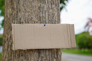 Crate paper sign on the tree for writing environmental campaign messages and forest conservation for example, do not cut trees, plant conservation areas, love the world, love trees, etc. photo