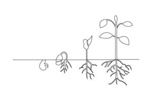 Growth plant processing one line art continuous single line drawing of isolated illustration vector