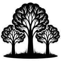 Highly Detailed Black Silhouette of Three Elegant Trees with Intricate Branches and Graceful Forms vector