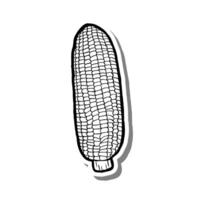 Hand Drawn Corn Element Outline on White Silhouette and Gray Shadow. Illustration about Fruit. vector