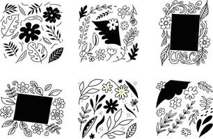 Set of black and white floral frames and botanical elements vector
