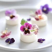 Smooth Textures and Glossy Finish. Floral Cakes. Mini mozzarella cheese with viola flowers on a white plate. photo