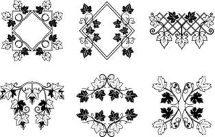 Elegant black and white grapevine frame and border design element collection vector