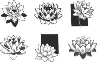 Lotus flower engraving set collection illustrations for creative design projects vector