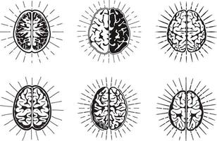 Human brain collection with light rays monochrome illustration set vector