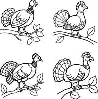 Four turkey illustrations on branches black and white outline drawing set vector