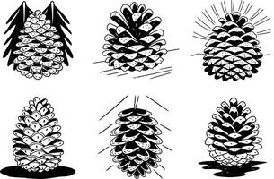 Black and white pine cone sketch set autumn and winter nature elements vector