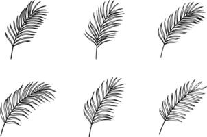 Seamless pattern of hand drawn tropical palm leaves in black and white vector