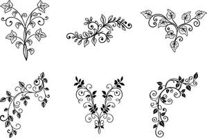 Elegant floral scrollwork collection ornamental black and white design elements vector